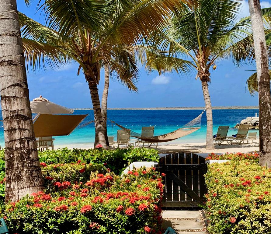 Harbour Village Bonaire Karibik Urlaub Tauchen