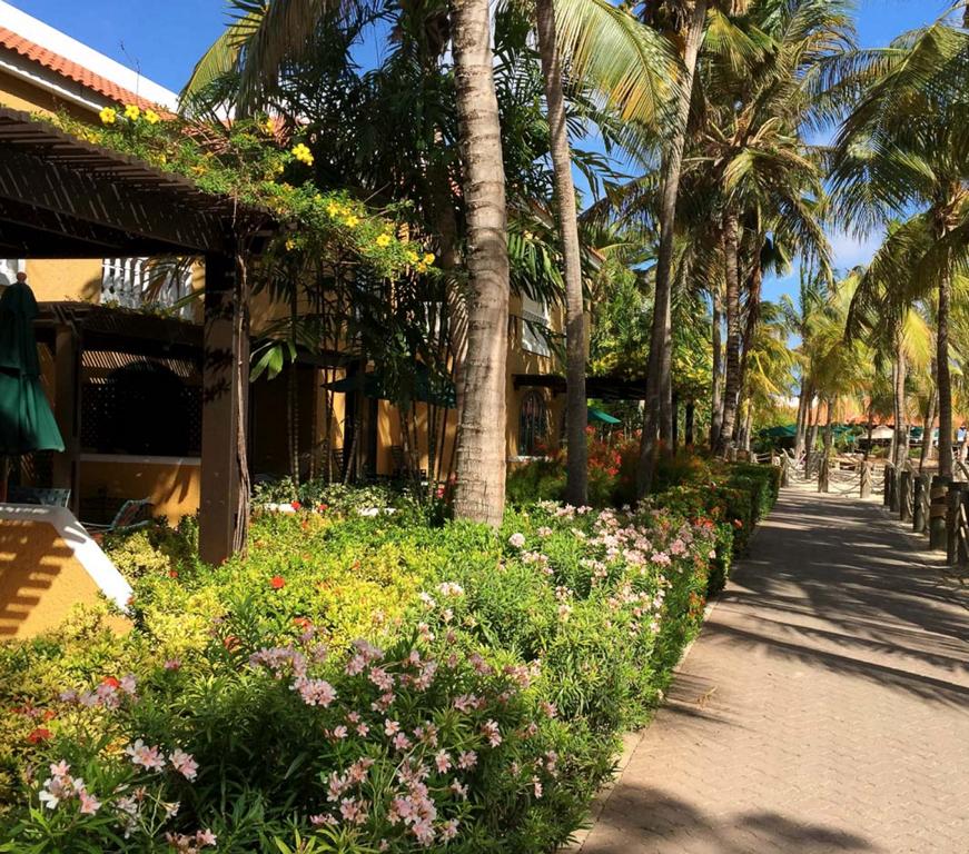 Harbour Village Bonaire Karibik Urlaub Tauchen