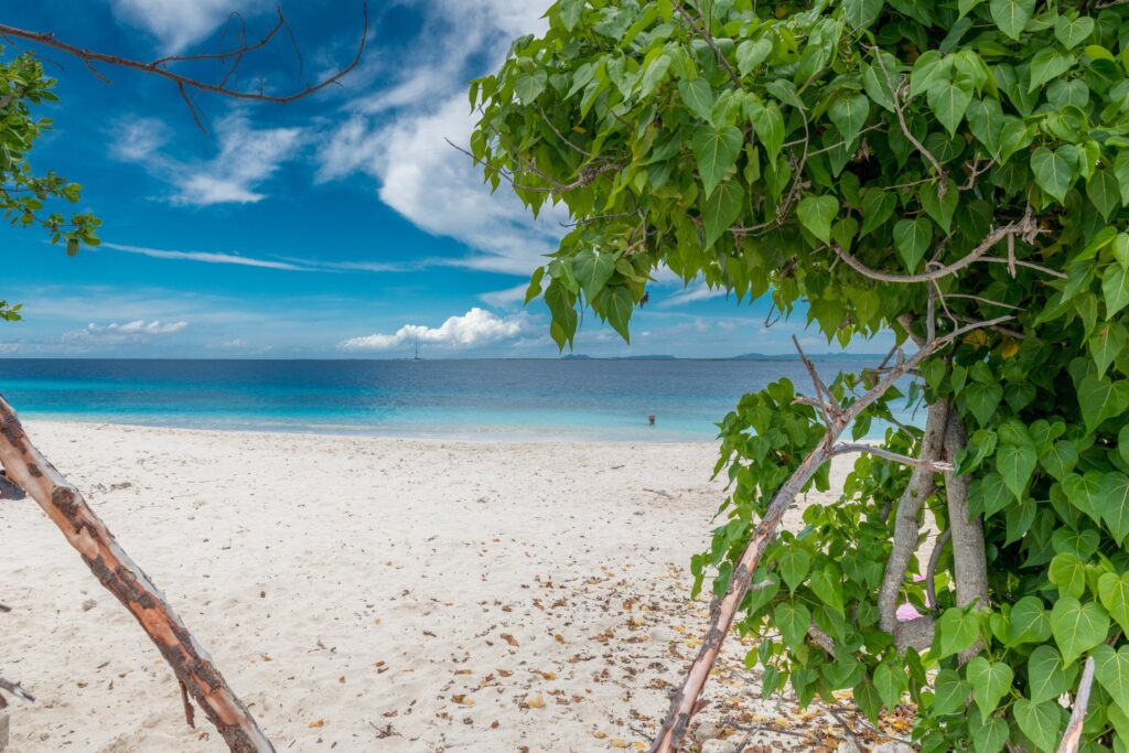 Te Amo Beach Bonaire Pictures Bopnaire