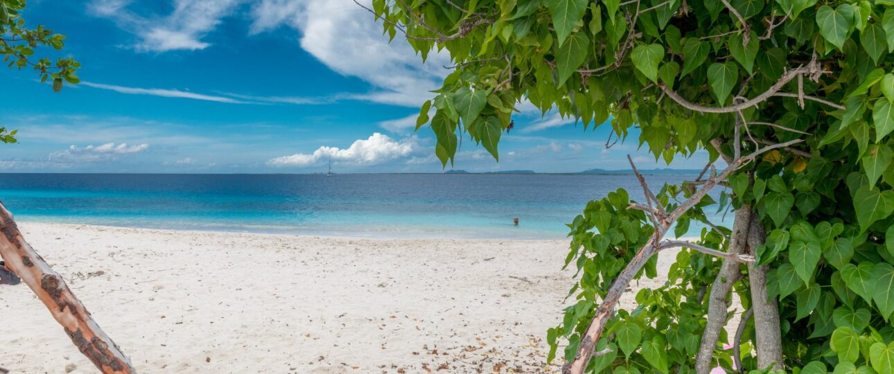 Te Amo Beach Bonaire Pictures Bopnaire