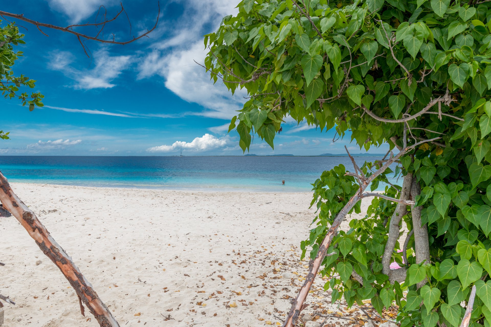 Te Amo Beach Bonaire Pictures Bopnaire