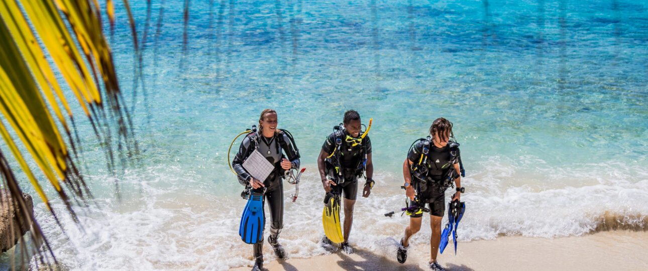 Bonaire tauchen tauchreisen karibik karibikurlaub