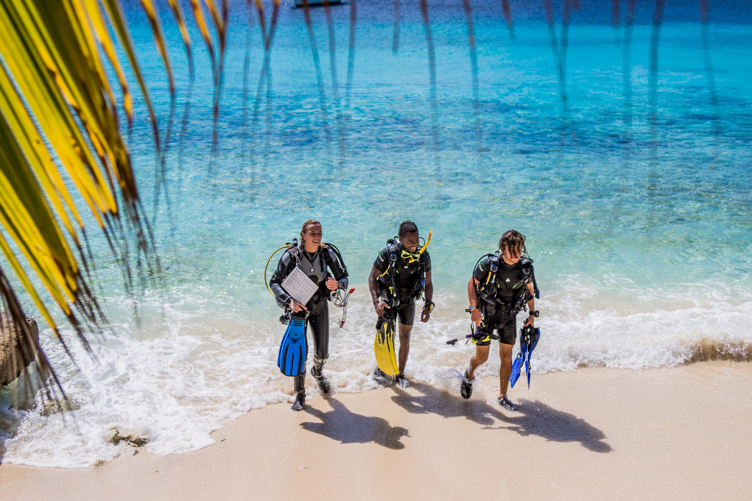 Bonaire tauchen tauchreisen karibik karibikurlaub