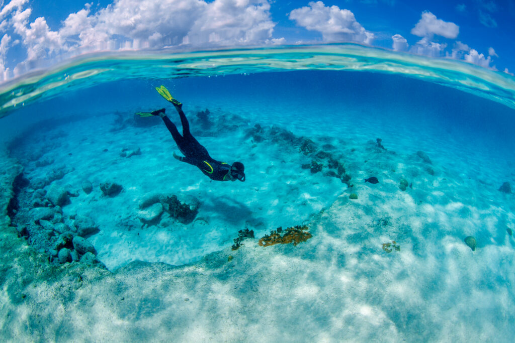 Bonaire Urlaub Tauchreisen Karibik Reisen