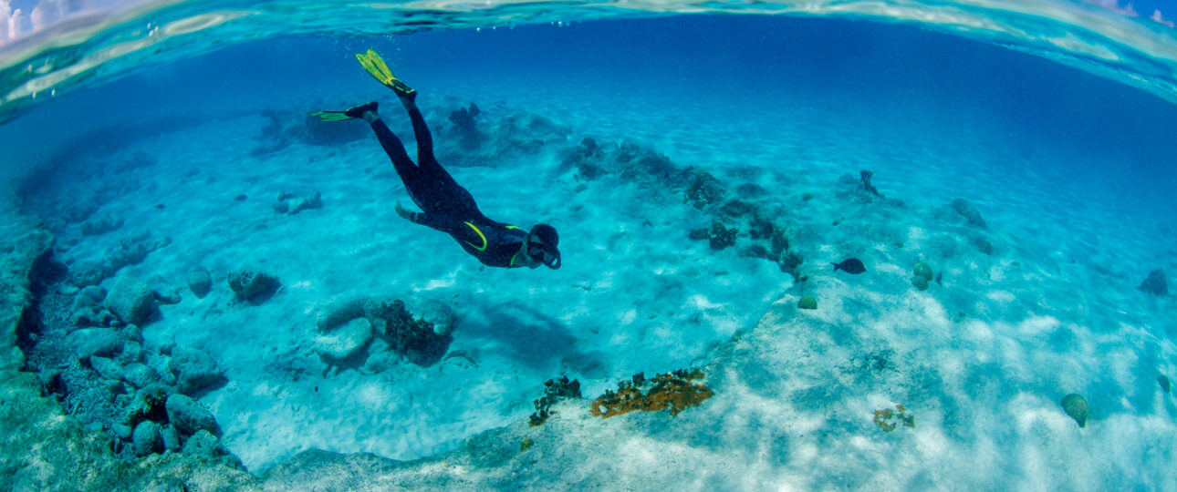 Bonaire Urlaub Tauchreisen Karibik Reisen