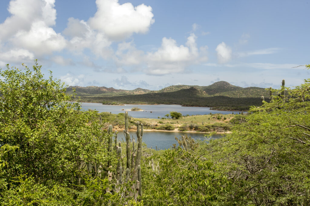 Goto Lake Washington Slagbaai Nationalpark Bonaire