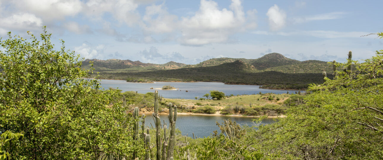 Goto Lake Washington Slagbaai Nationalpark Bonaire