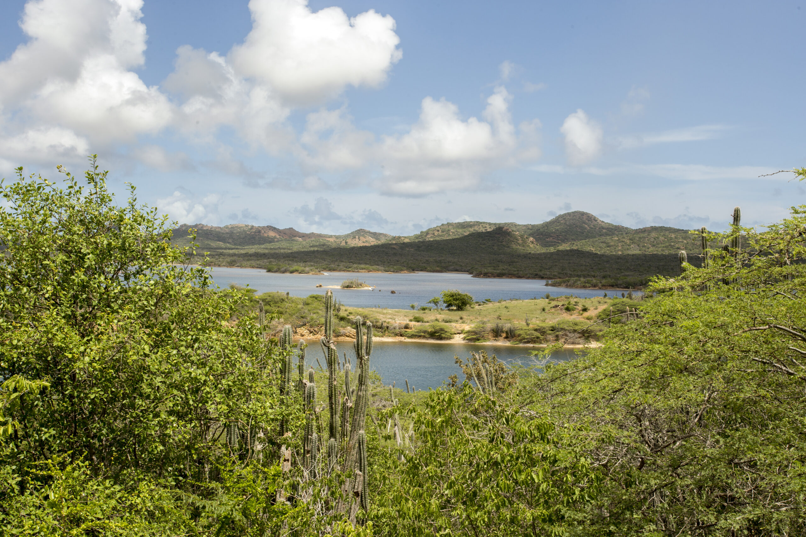 Goto Lake Washington Slagbaai Nationalpark Bonaire