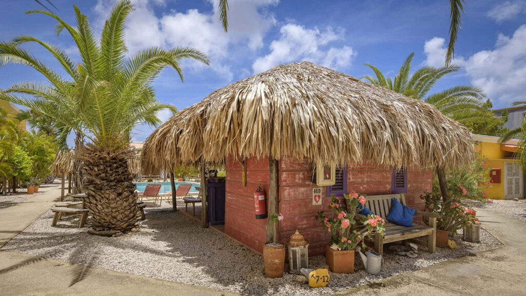 Tauchreisen Djambo Apartments Bonaire Urlaub Taucchen und schnorcheln Karibik