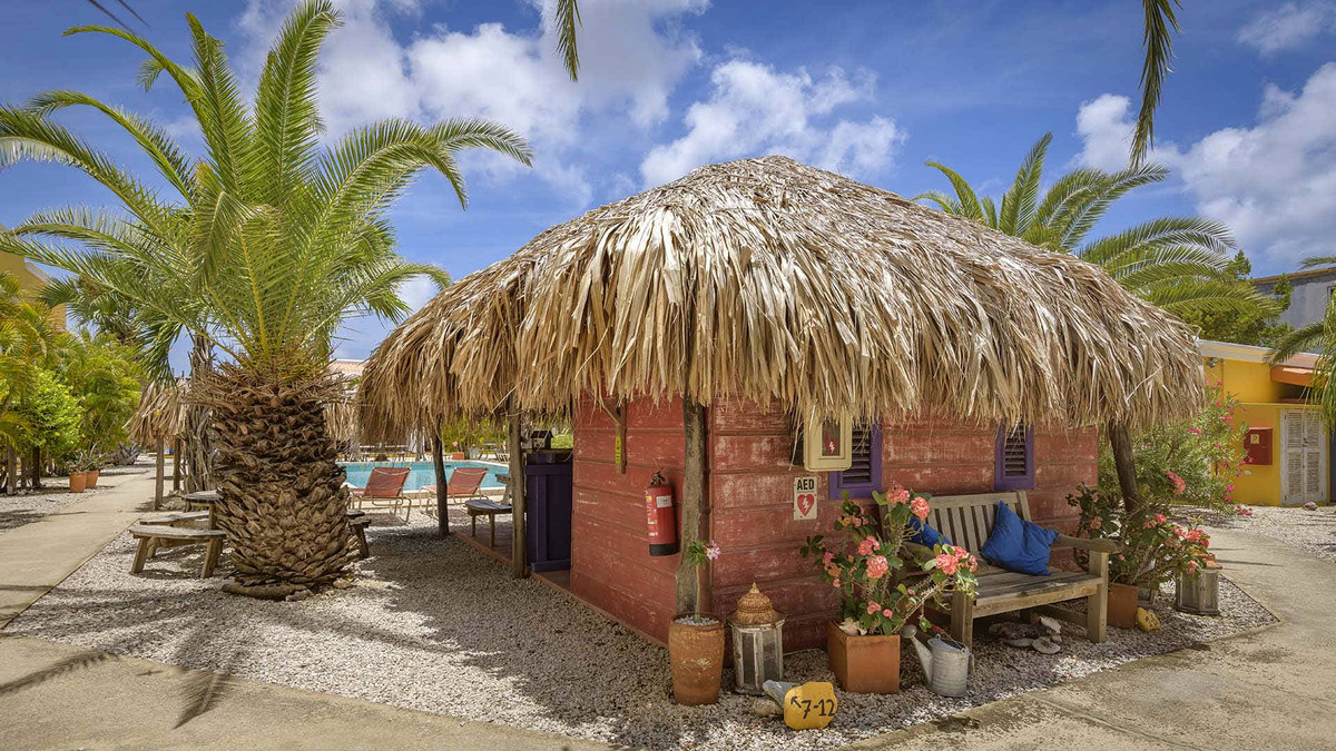 Tauchreisen Djambo Apartments Bonaire Urlaub Taucchen und schnorcheln Karibik