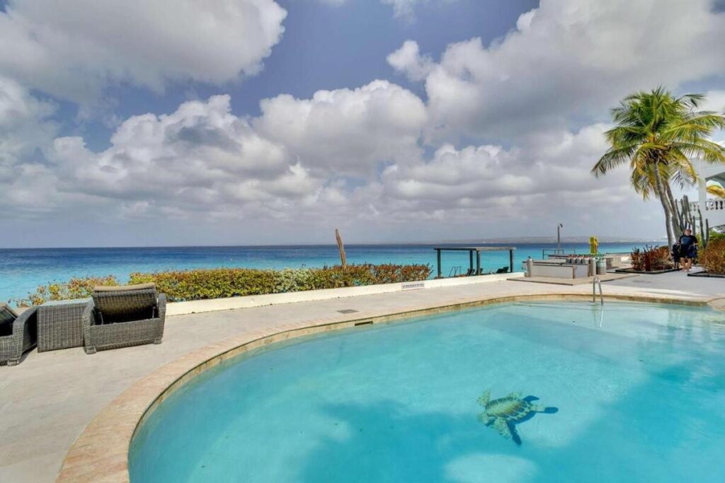 Belmar Oceanfrront Pool View Bonaire Urlaub Bonaire tauchreisen