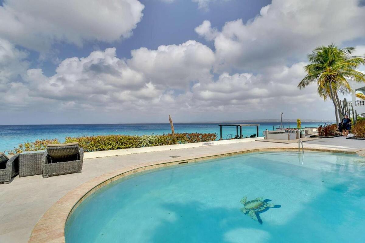 Belmar Oceanfrront Pool View Bonaire Urlaub Bonaire tauchreisen