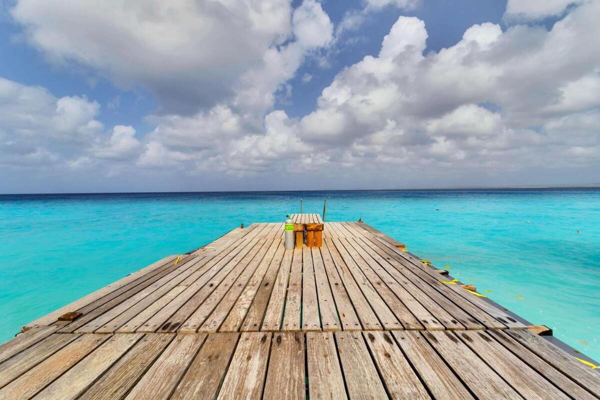 Belmar Oceanfrront Pool View Bonaire Urlaub Bonaire tauchreisen