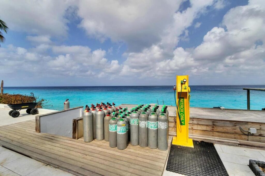 Belmar Oceanfrront Pool View Bonaire Urlaub Bonaire tauchreisen