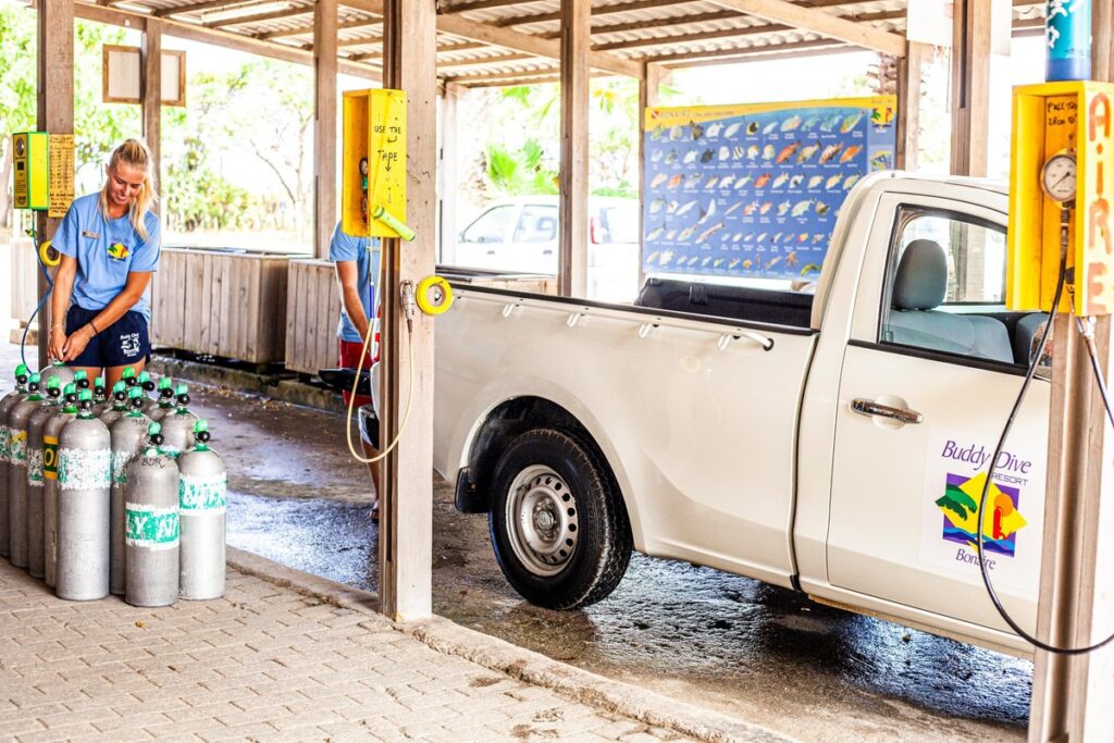 Buddy Dive Mietwagen Bonaire Tauchurlaub