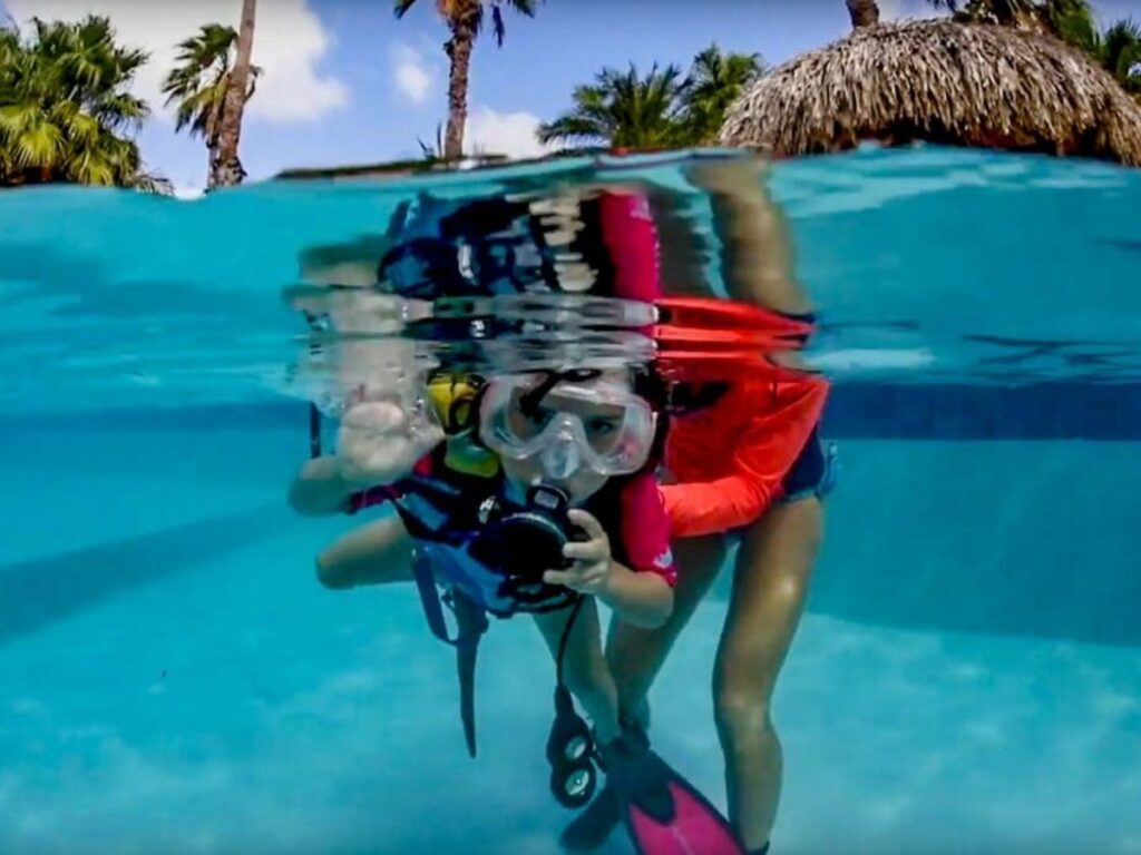 tauchen auf Bonaire Buddy Dive Tauchurlaub