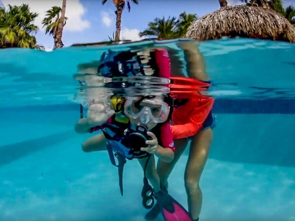 tauchen auf Bonaire Buddy Dive Tauchurlaub