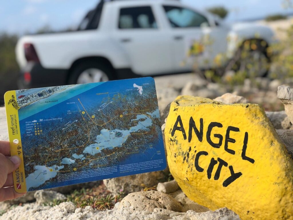 Angel City Buddy Dive Bonaire Tauchurlaub