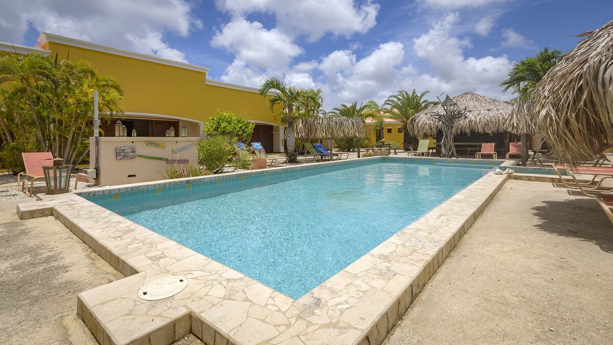 Tauchreisen Djambo Apartments Bonaire Urlaub Taucchen und schnorcheln Karibik