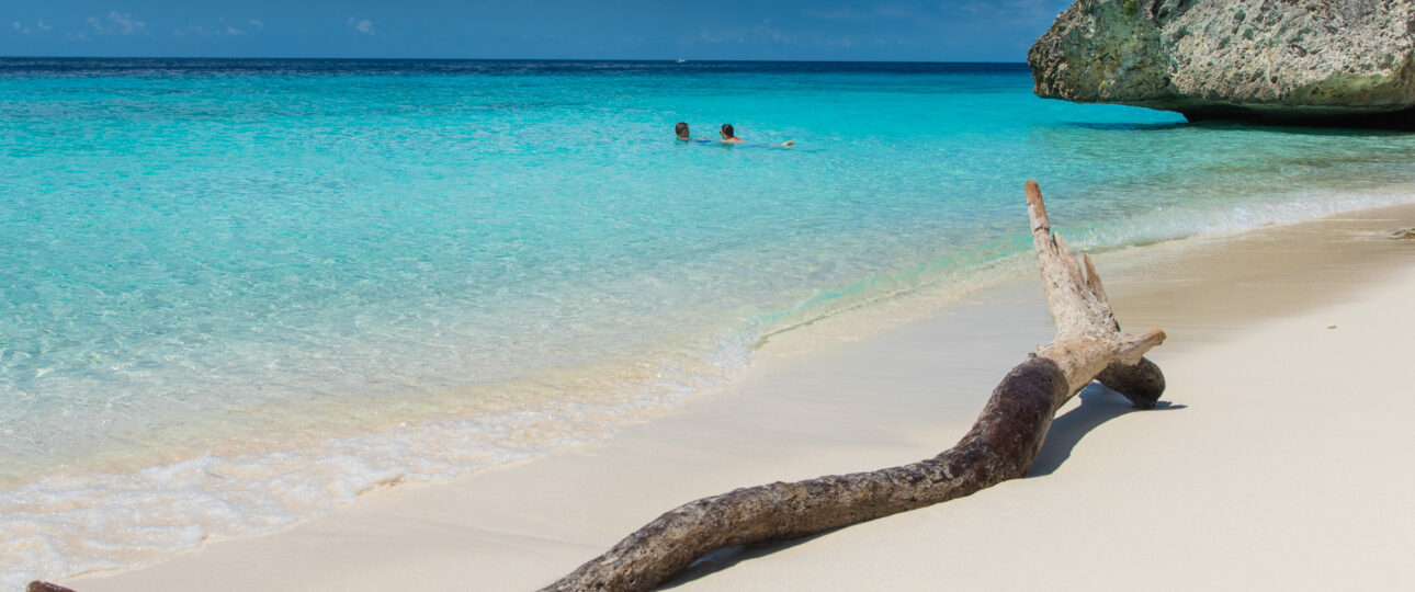 Natur Curacao Curacao urlaub windsurfreisen