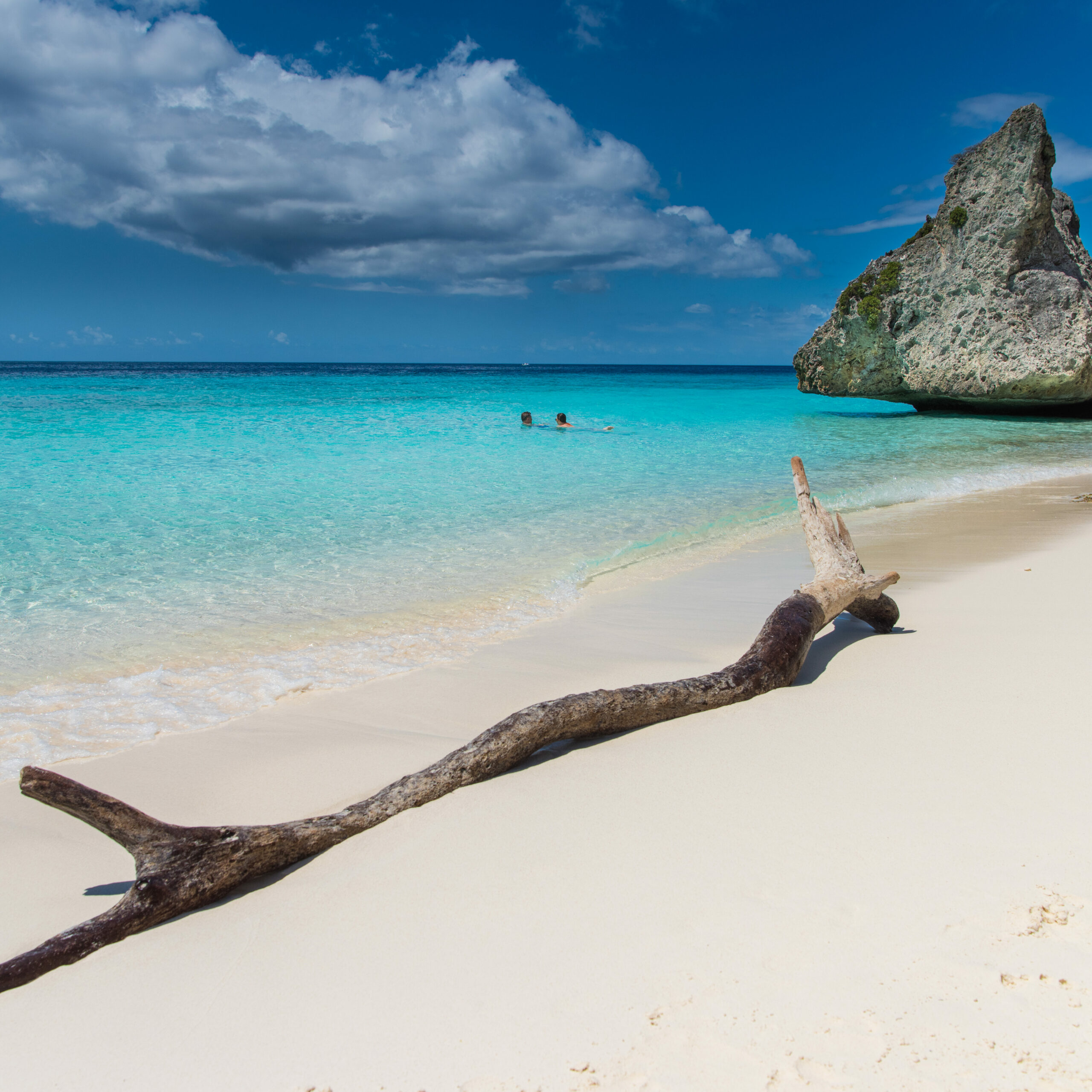 Natur Curacao Curacao urlaub windsurfreisen