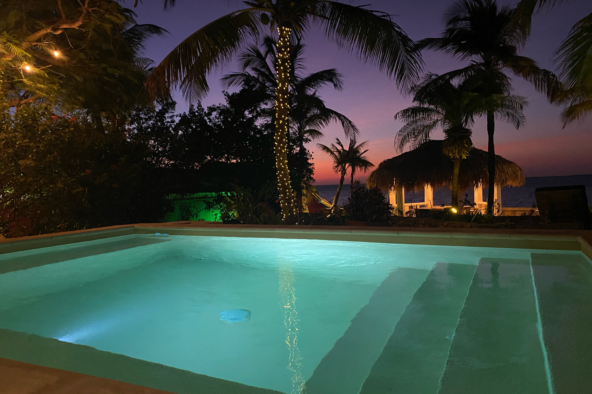 Pool Karibik Ferien Villa Pool view