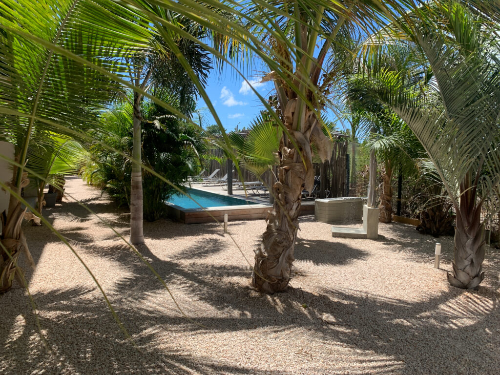 isla bonaire reisen bonaire tauchen bonaire