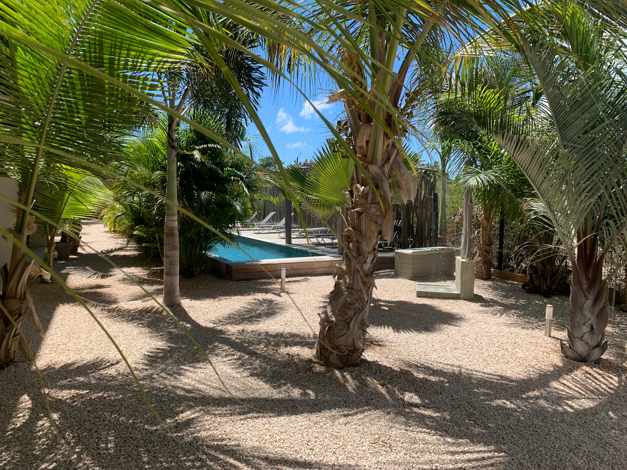 isla bonaire reisen bonaire tauchen bonaire