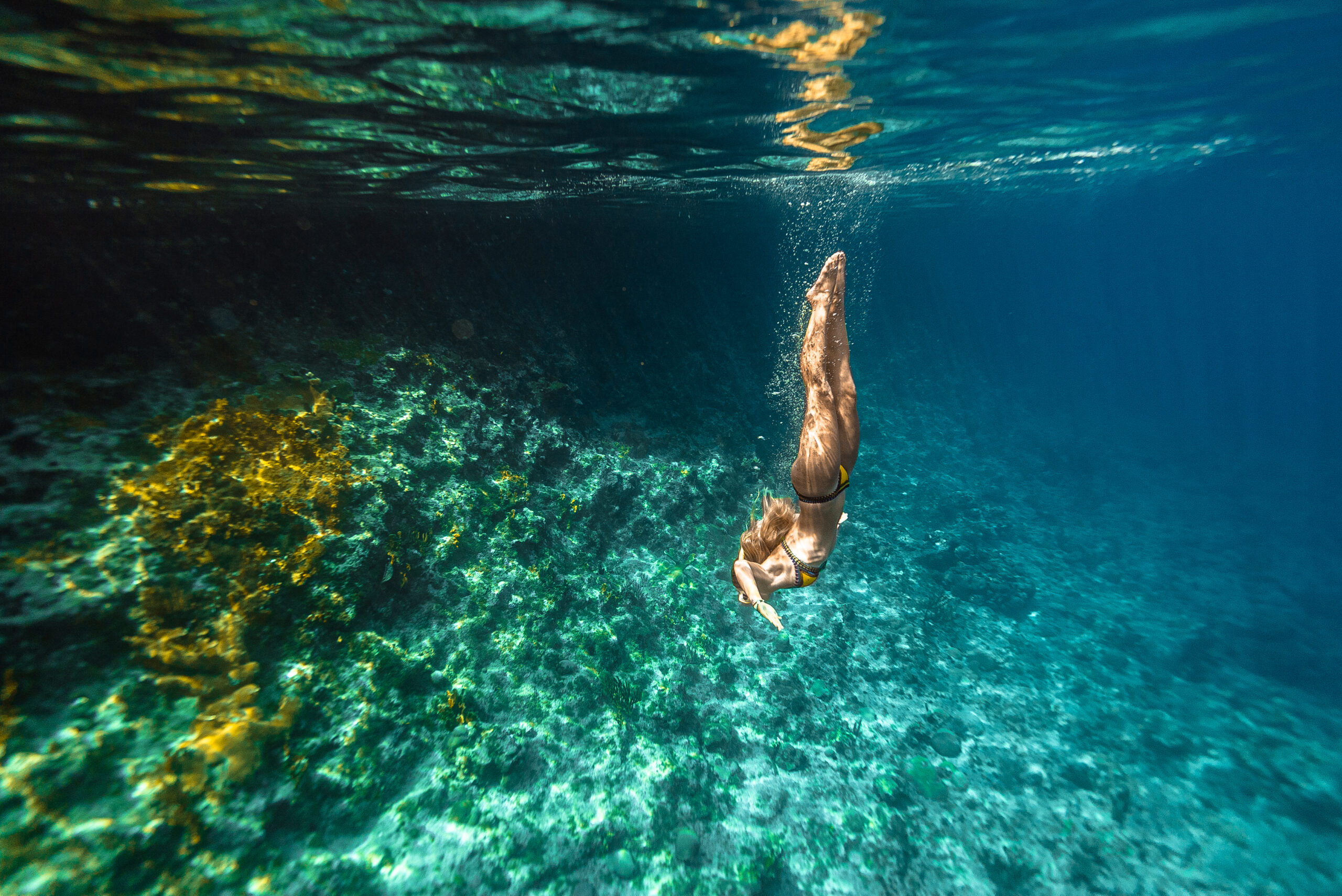 Snorkeling Aurba Aruba Karibik