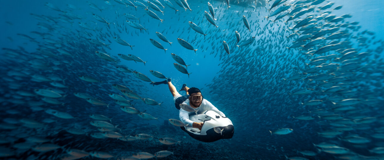 Curacao Diving Snorkeling
