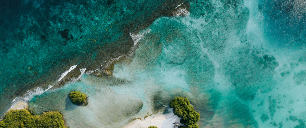 Aruba Shot Mangel Halto