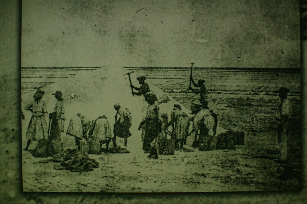 Bonaire History Bonaire Island