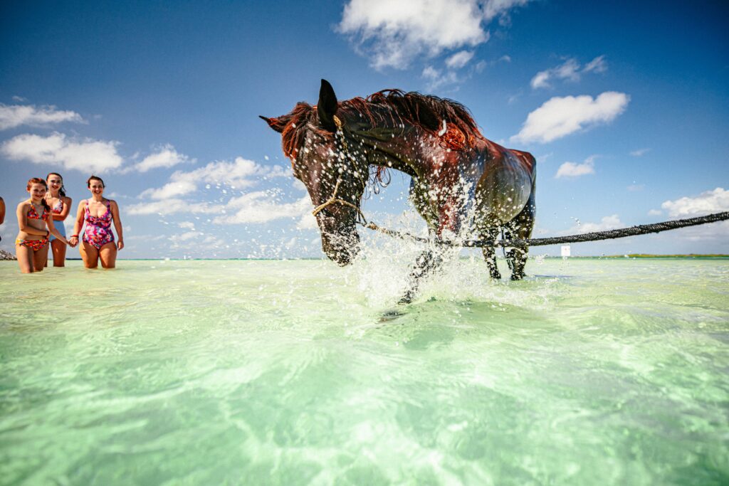 reiten bonaire karibik urlaub