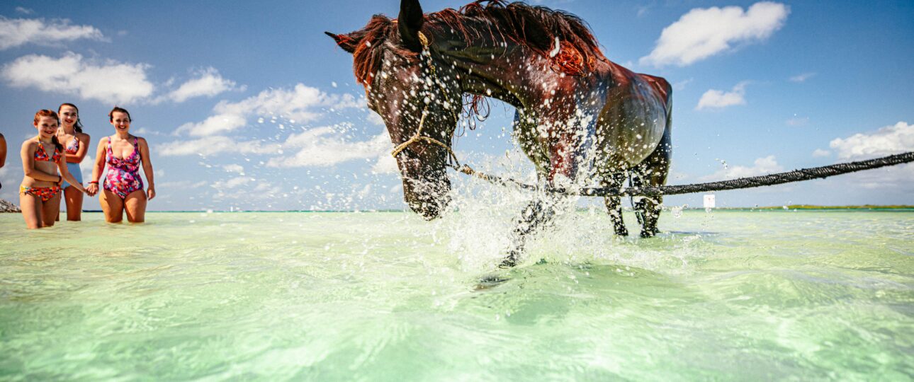 reiten bonaire karibik urlaub