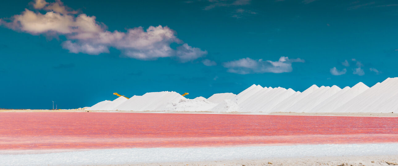 Salt Flats Bonaire