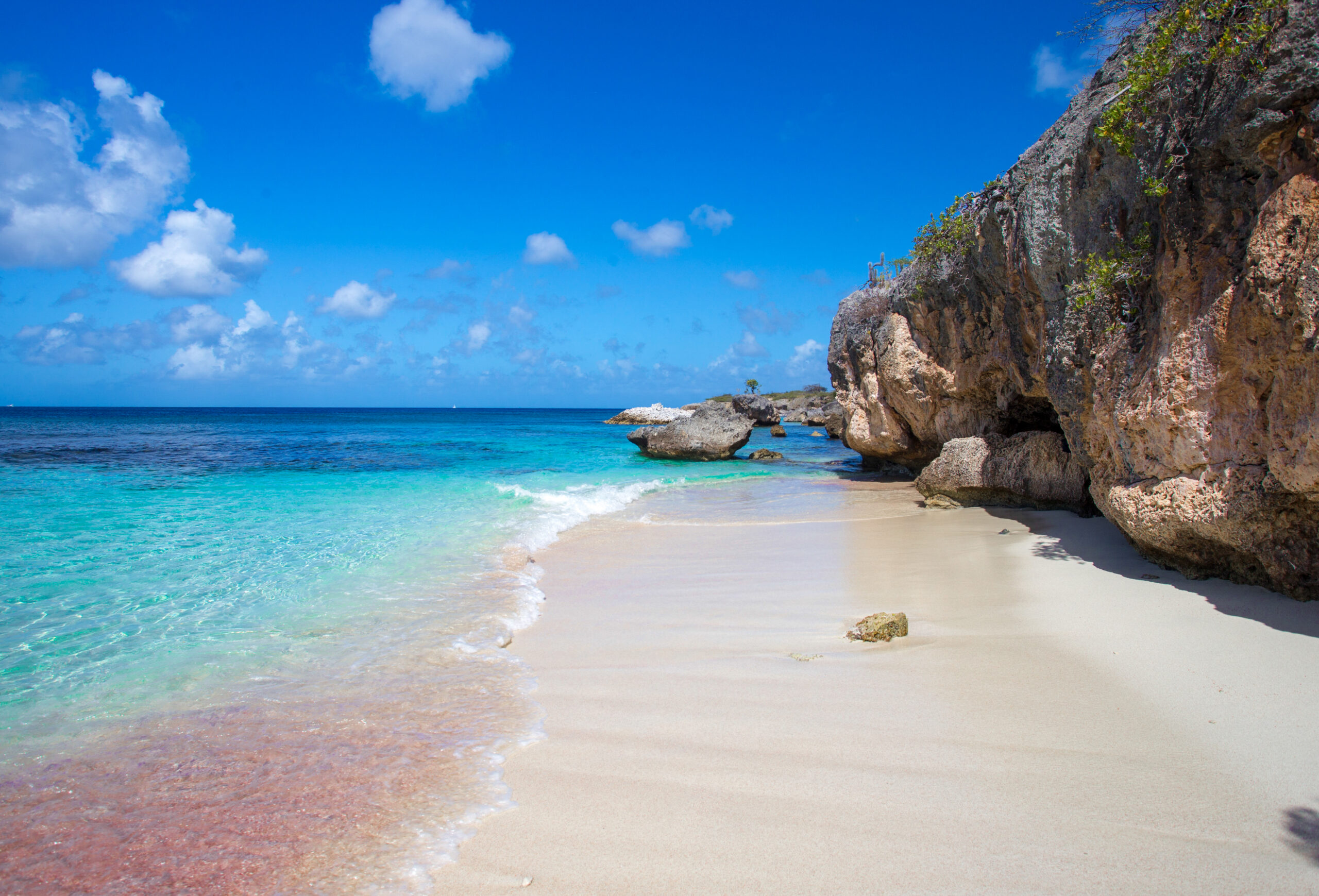 Bonaire island Pictures of the beach Urlaub abc