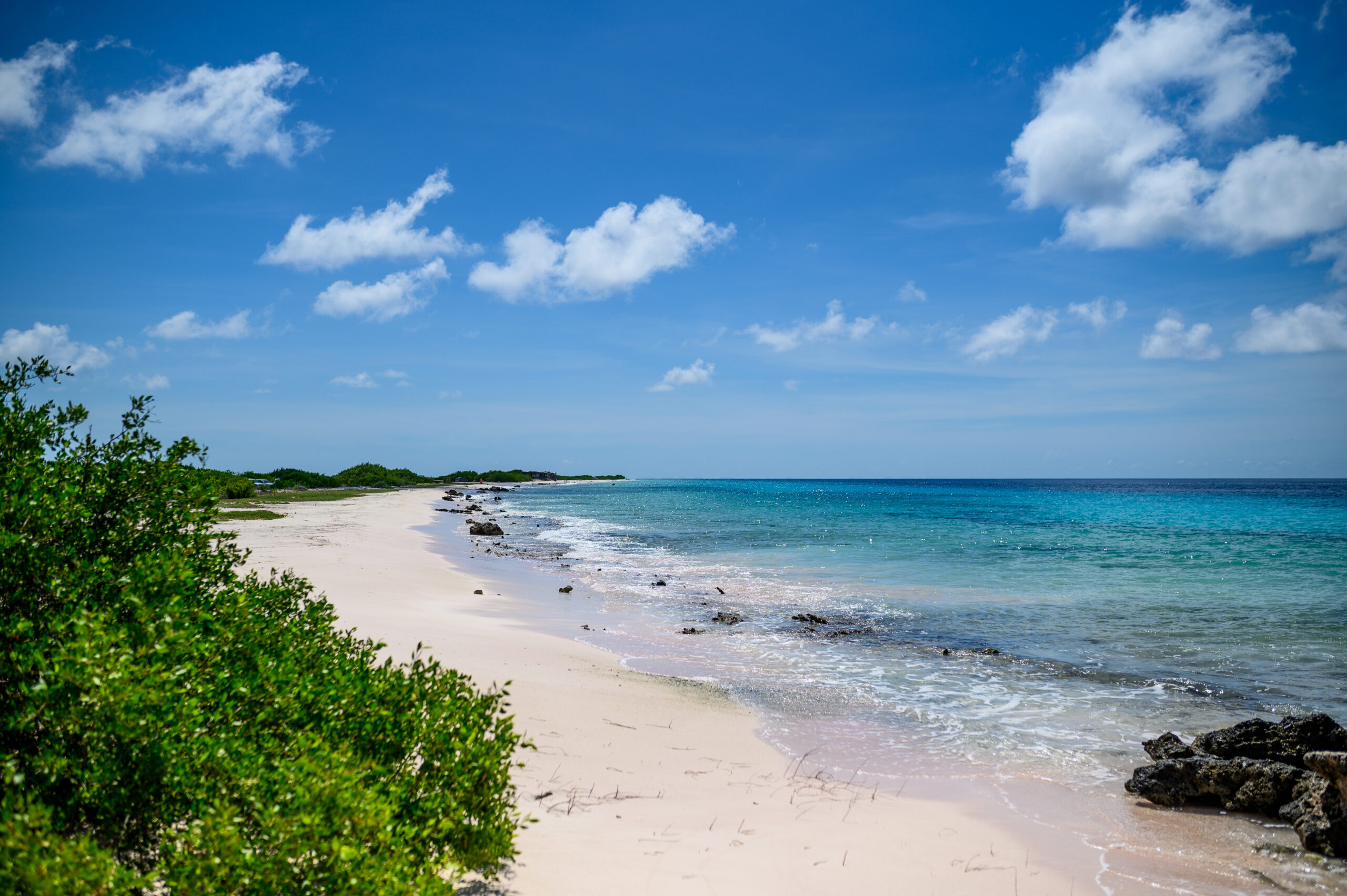 Bonaire urlaub ABC