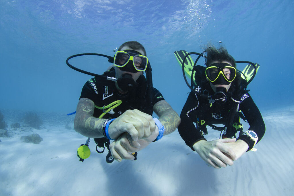 Dive Division Curacao Inselhopping Blue bay Curaçao