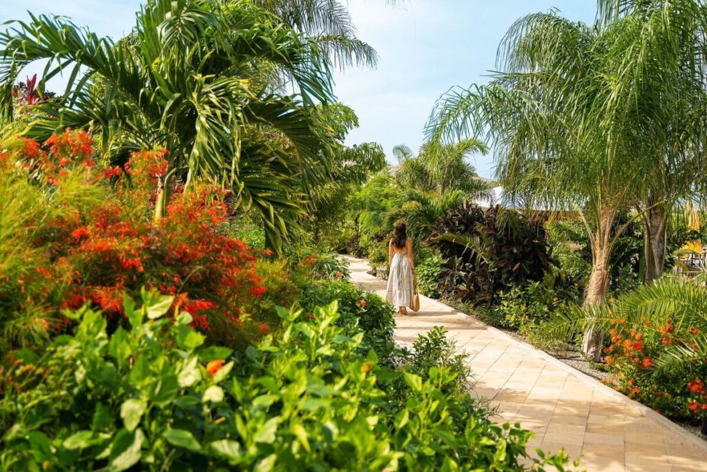 Karibik St. Eustatius Karibik urlaub Statia Natur