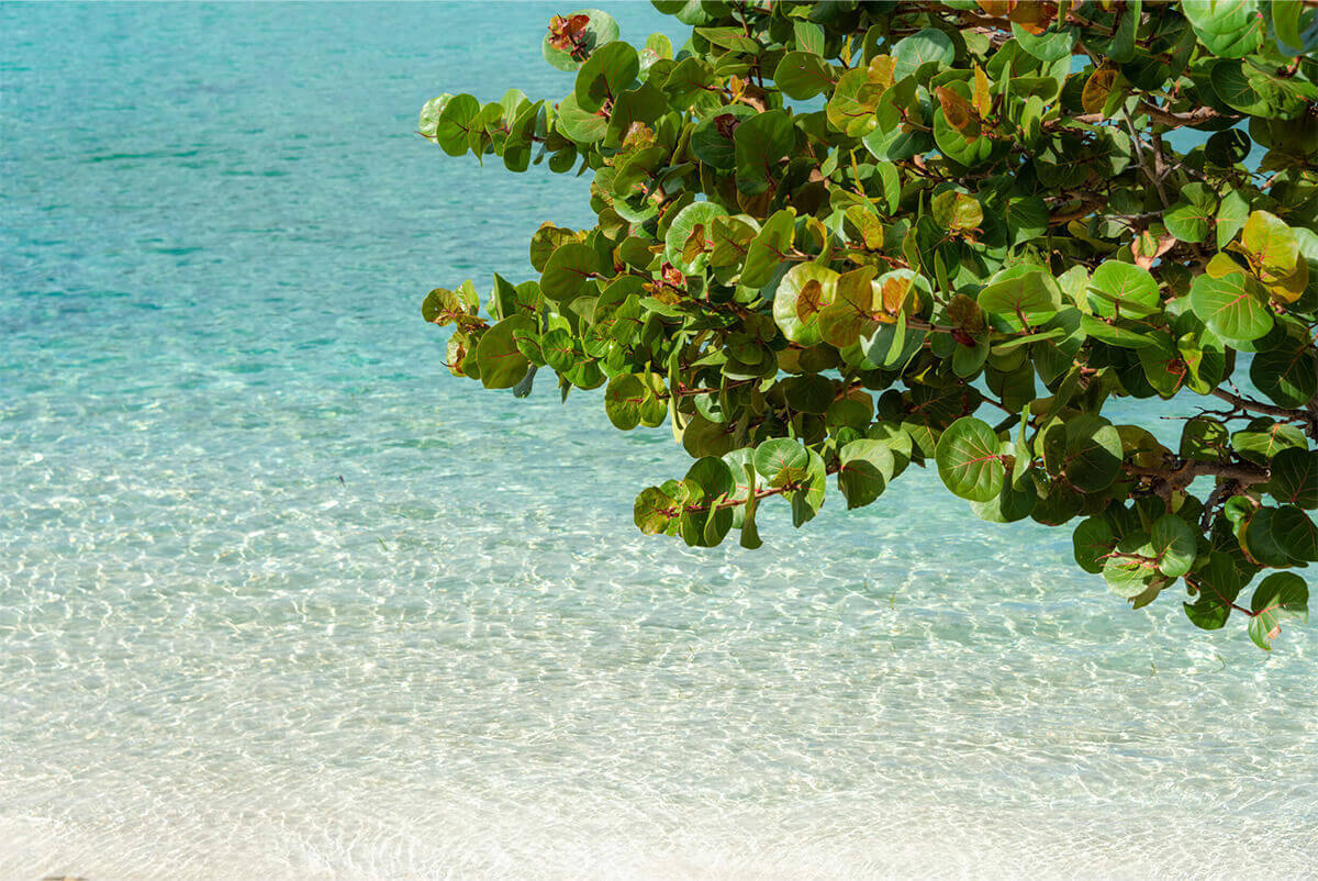 Grand Case Beach Club Hotel Sint Maarten Urlaub AUf sint Maarten Karibiksport Tauchreisen Reisepakete