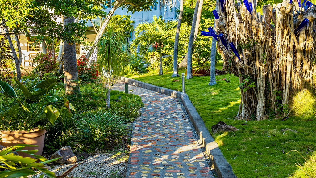 Quill Gardens Statia Karibiksport Urlaub In der karibik