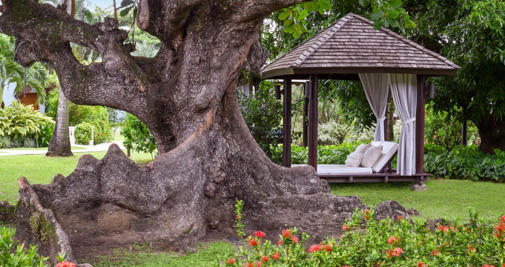 Sandals halcyon Beach resort Saint Lucia Urlaub Karibik Tauchreisen Saint Lucia Honeymoon Suites reisen Couples