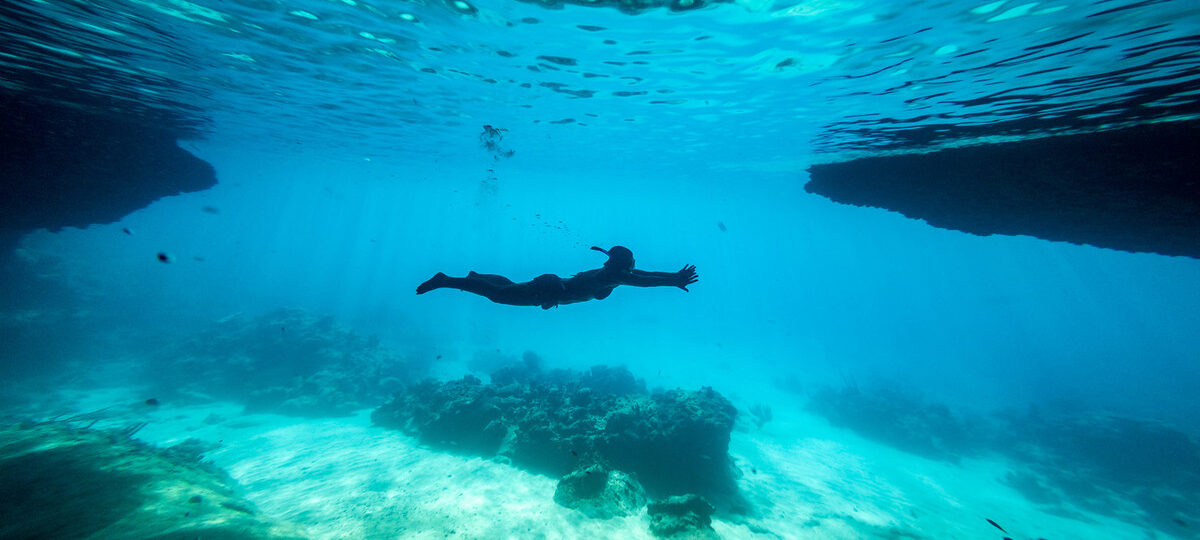Tauchreisen Tauchen auf Curacao Schnorcheln Curacao Strandurlaub