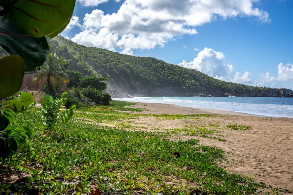 Wyndham Lambert Beach Resort Tortola British Virgin Islands Sailing Segeln in der Karibik Urlaub Tauchreisen