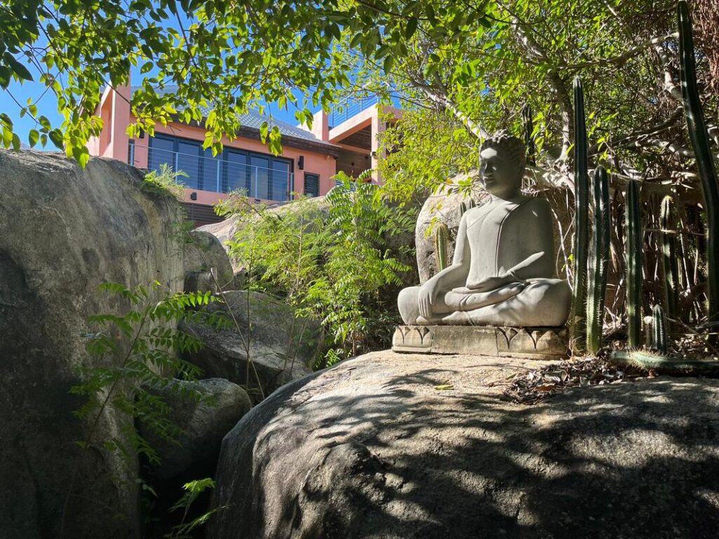Guavaberry Virgin Oriental Karibik Urlaub tauchreisen segelreisen