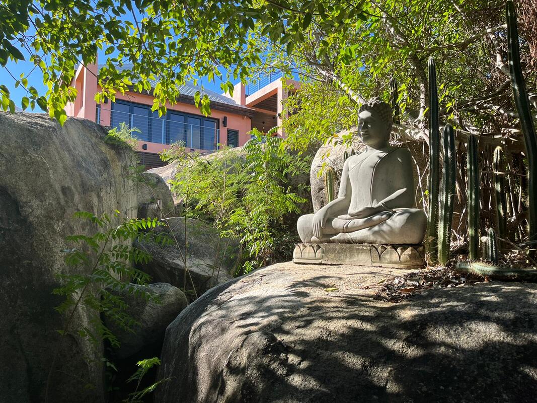 Guavaberry Virgin Oriental Karibik Urlaub tauchreisen segelreisen