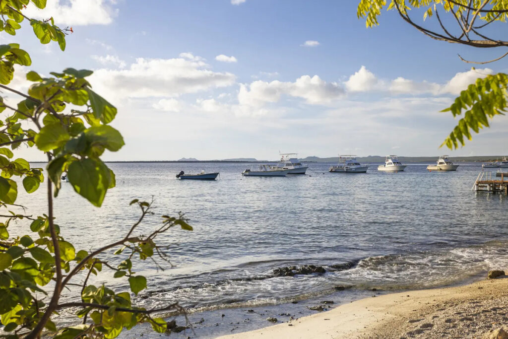 Kas Chiki Bonaire Tauchreisen Karibik urlaub Strandurlaub familienreisen inselhopping