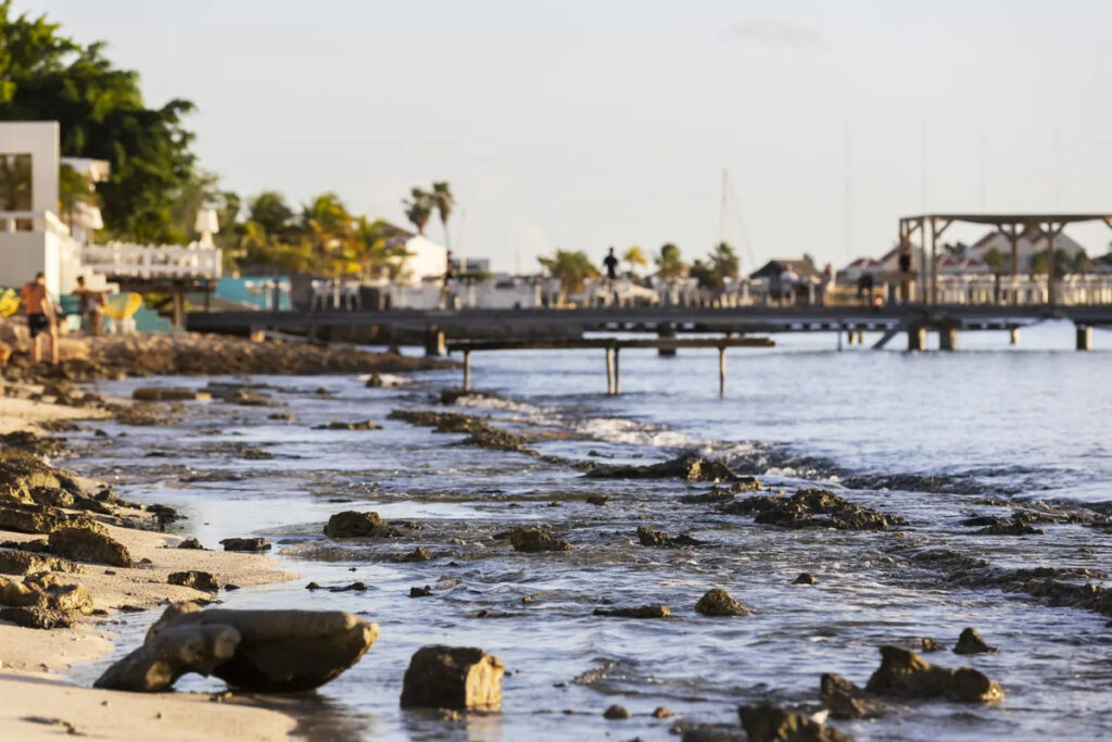 Kas Chiki Bonaire Tauchreisen Karibik urlaub Strandurlaub familienreisen inselhopping