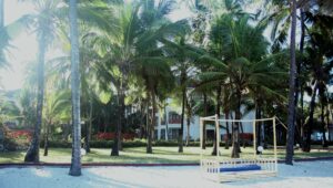 Wilhelmina Park Bonaire Urlaub Tauchreisen strandurlaub